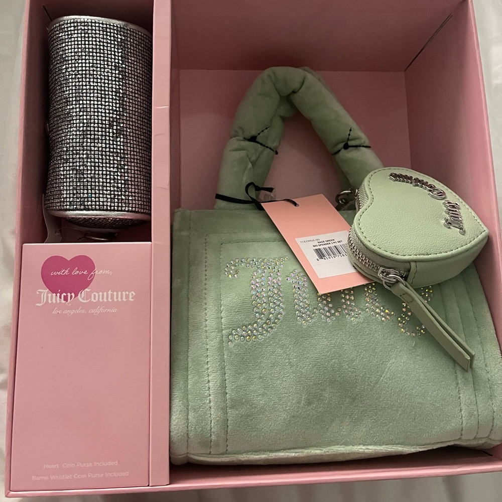 Juicy Couture Purse